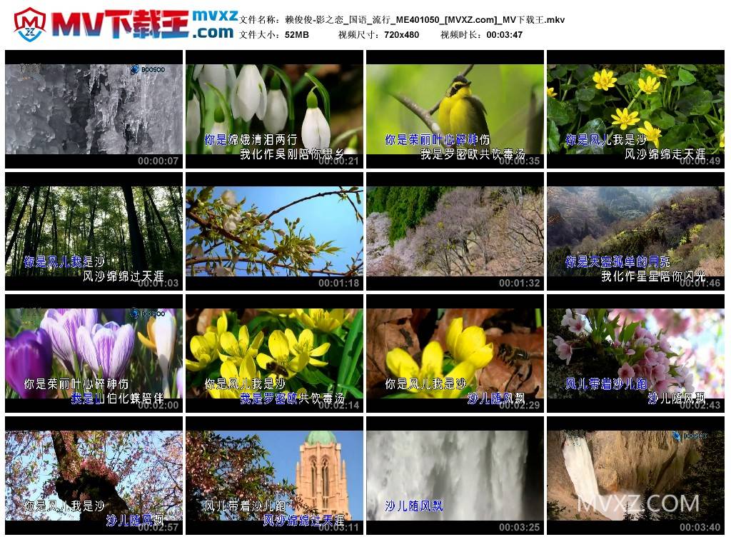 赖俊俊-影之恋_国语_流行_ME401050
